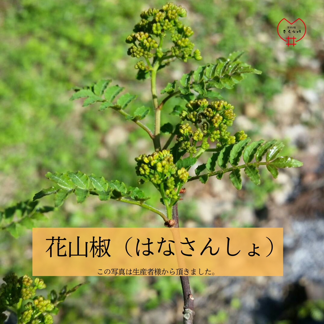 花山椒～2023～ – 京料理さくらいの通販「京の煮焚きもん」
