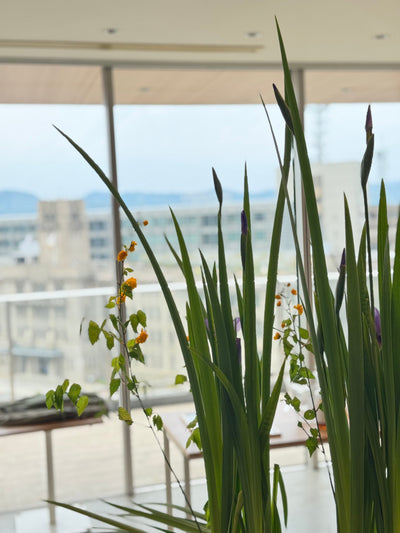 出張料理～KYOTO×ITALY DESIGN DAY 様～
